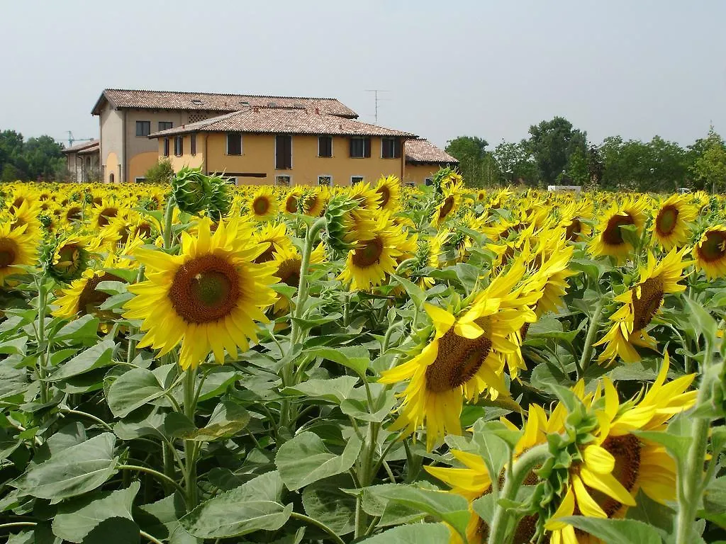 Hotel Del Rio Srl - Ristorante E Azienda Agricola Casinalbo