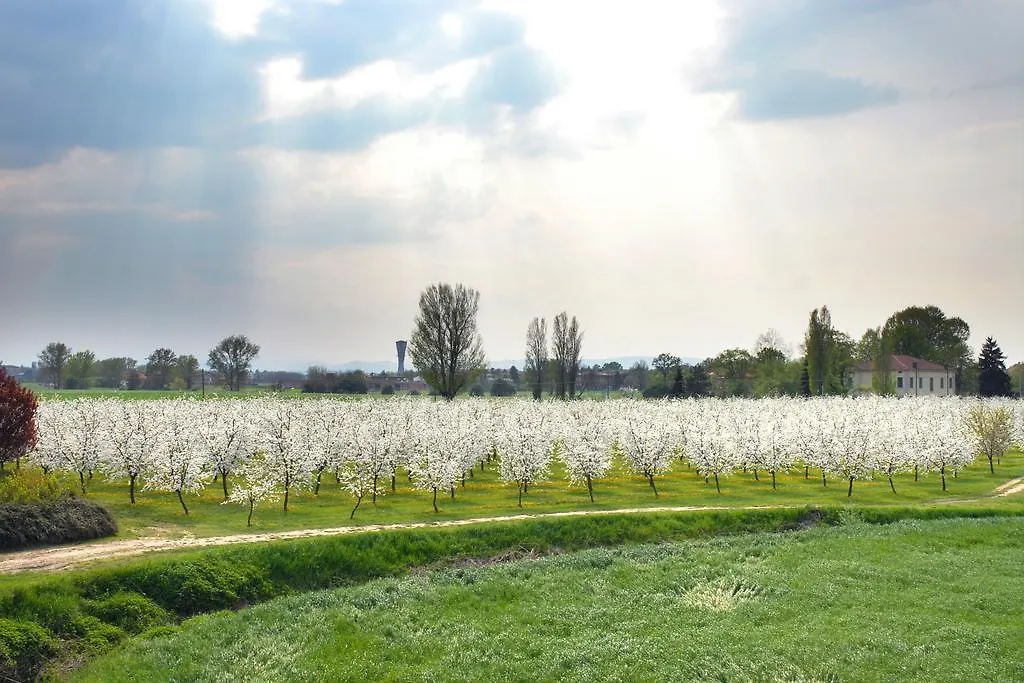 Hotel Del Rio Srl - Ristorante E Azienda Agricola Casinalbo
